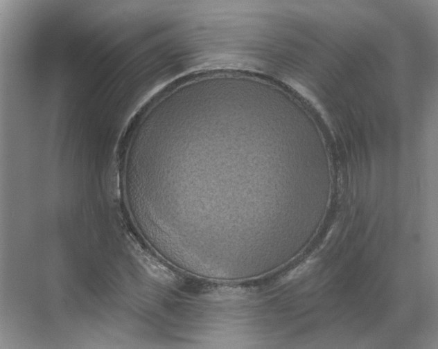 X0000068740925200605121540