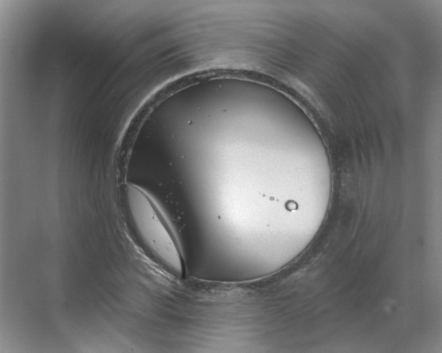 X0000068740926200605121540