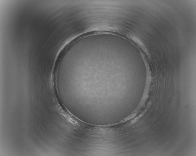 X0000068740928200605121540