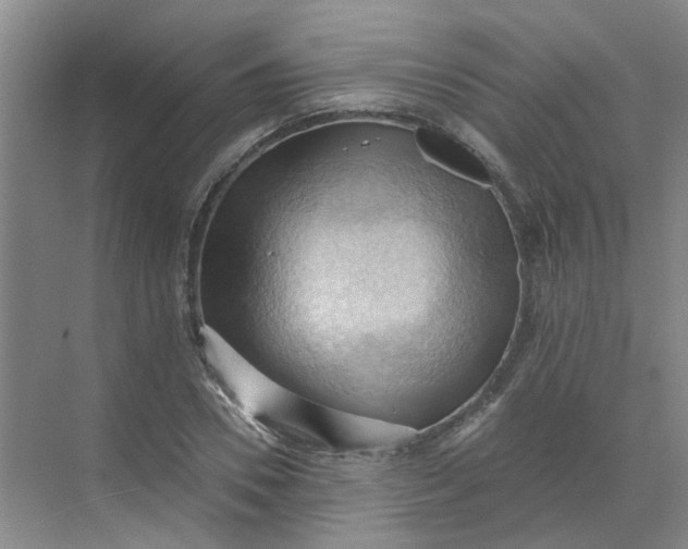 X0000068740930200605121540