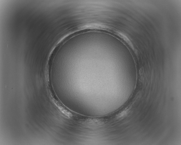 X0000068740931200605121540