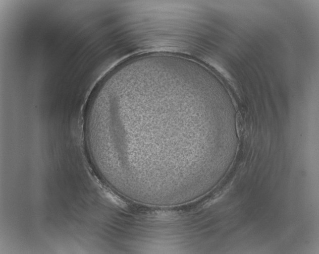 X0000068740933200605121540