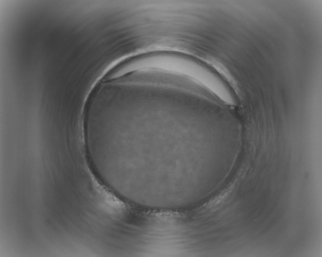 X0000068740934200605121540