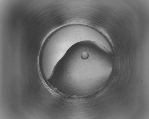 X0000068740936200605121540