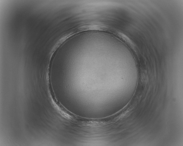 X0000068740938200605121540