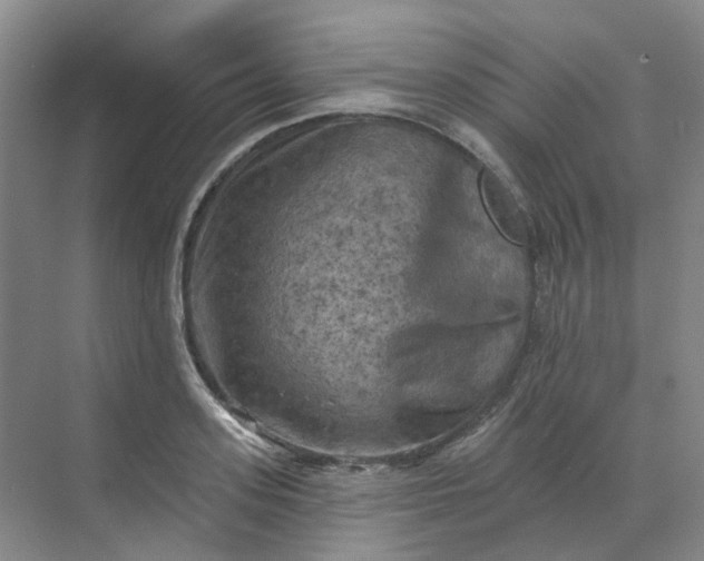 X0000068740939200605121540