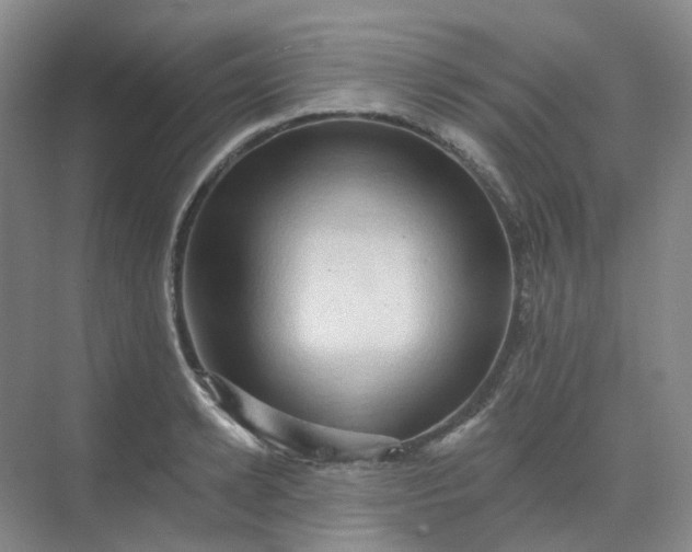 X0000068740942200605121540