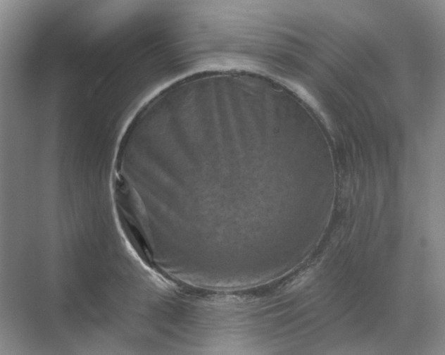 X0000068740943200605121540