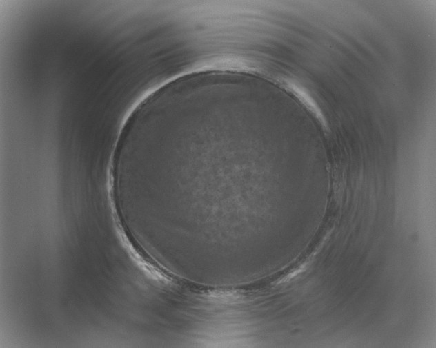 X0000068740944200605121540