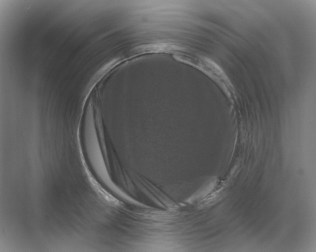 X0000068740946200605121540