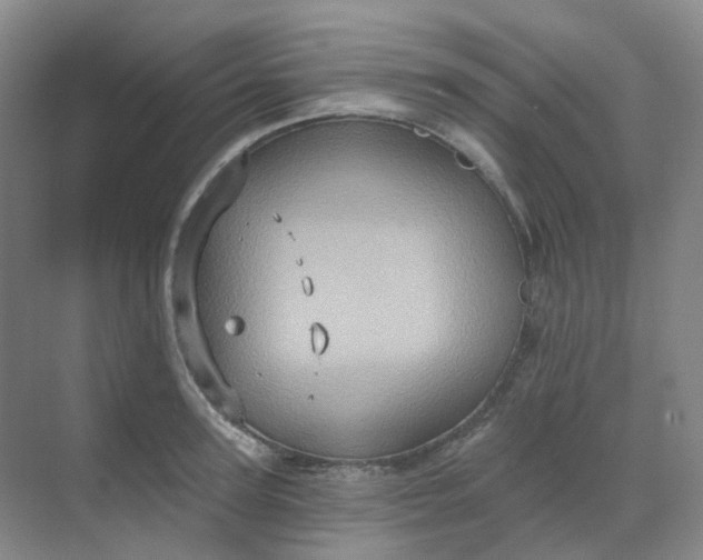 X0000068740947200605121540