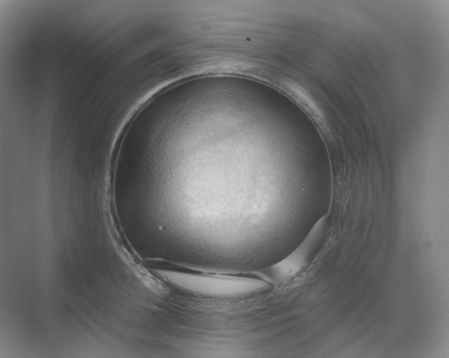 X0000068740948200605121540