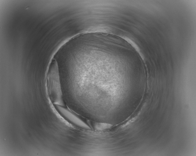 X0000068740949200605121540