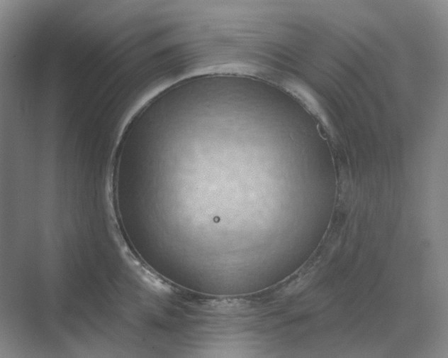 X0000068740952200605121540