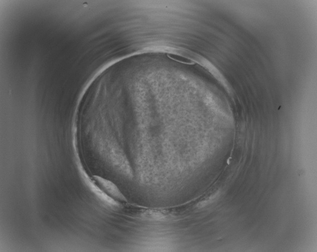 X0000068740955200605121540