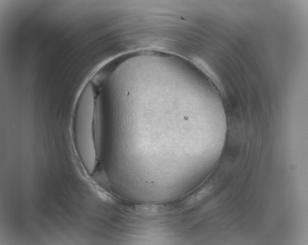 X0000068740956200605121540