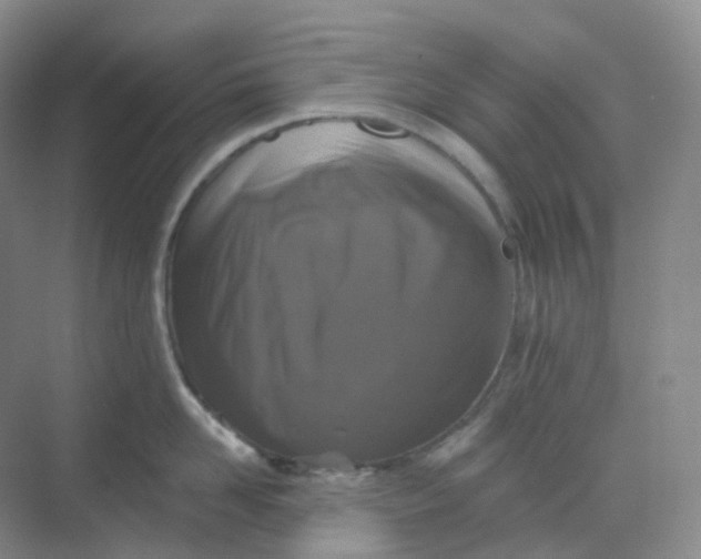 X0000068740958200605121540