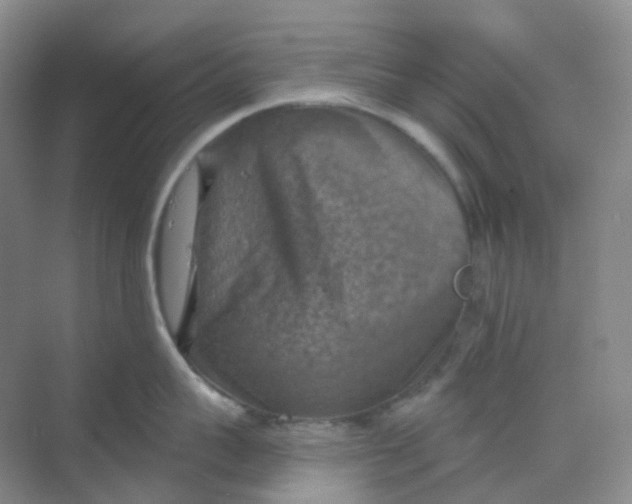 X0000068740959200605121540