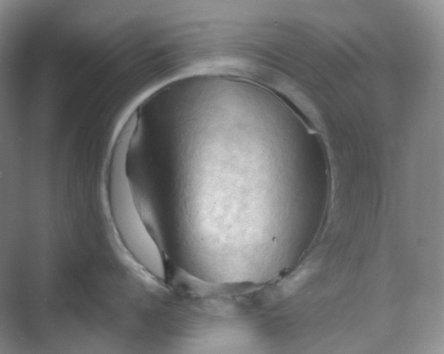 X0000068740960200605121540