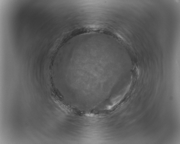 X0000068740961200605121540