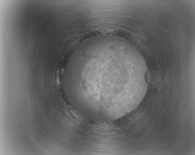 X0000068740962200605121540