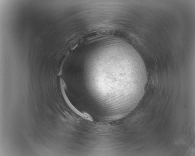 X0000068740964200605121540