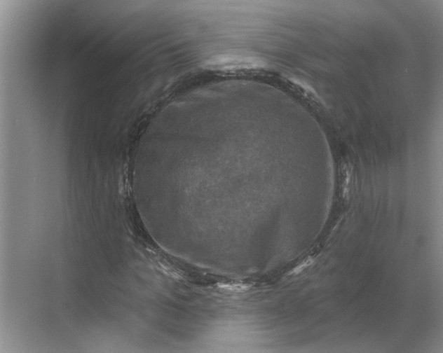 X0000068740965200605121540