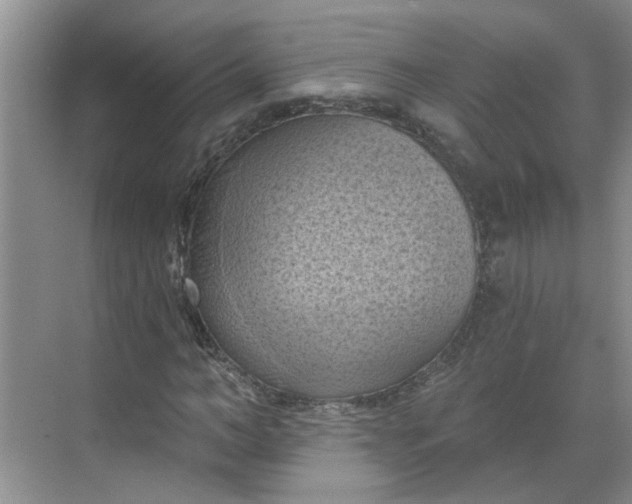 X0000068740966200605121540