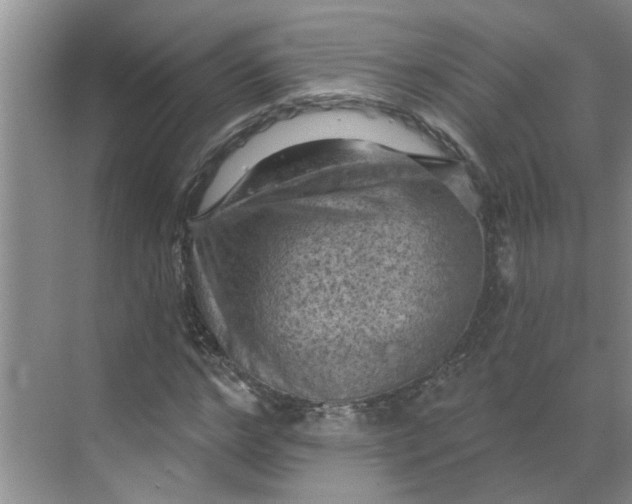 X0000068740968200605121540