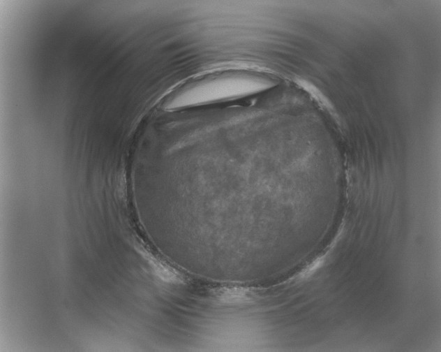 X0000068740969200605121539