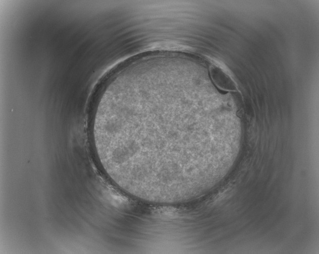 X0000068740971200605121539