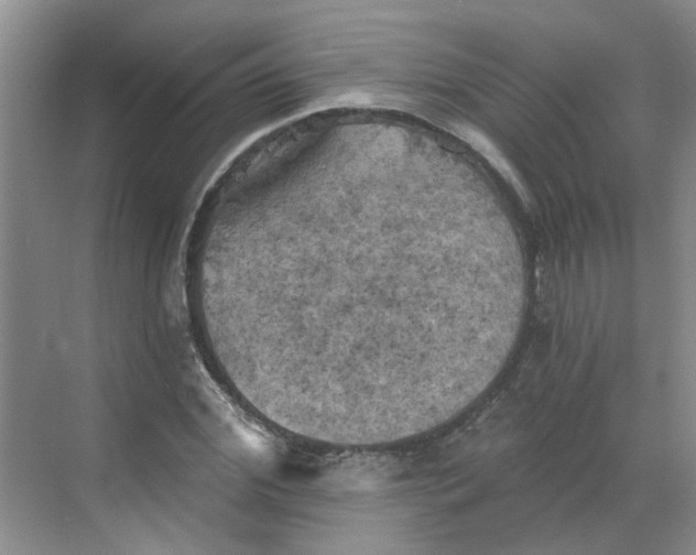 X0000068740972200605121539