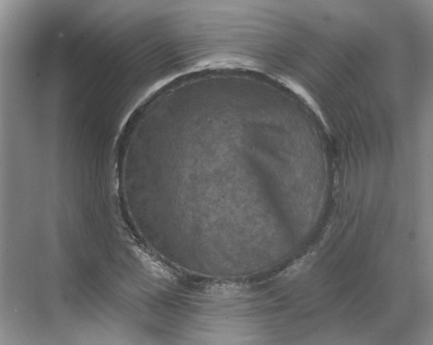 X0000068740973200605121539