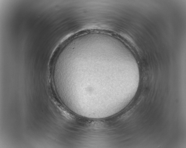 X0000068740974200605121539