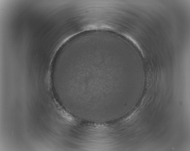 X0000068740975200605121539