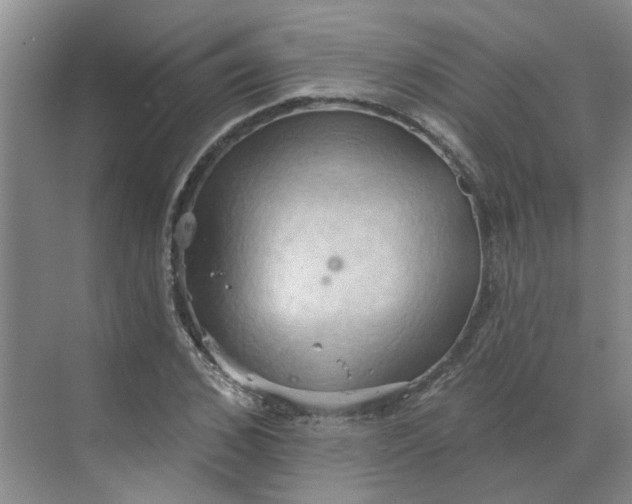 X0000068740976200605121539