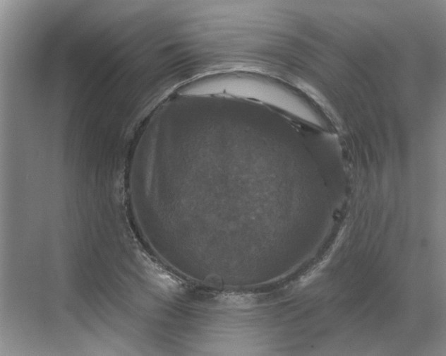 X0000068740977200605121539