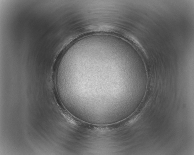 X0000068740978200605121539