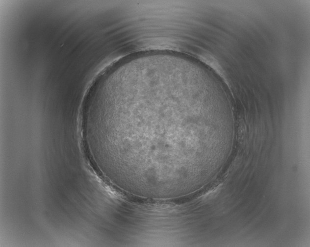 X0000068740979200605121539