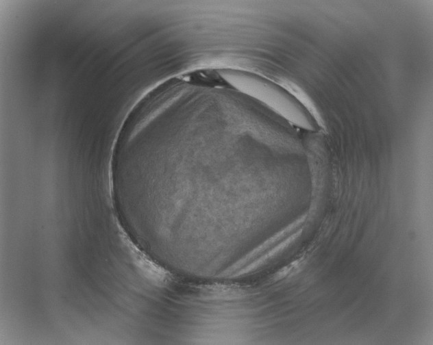 X0000068740980200605121539