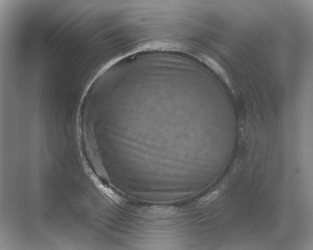 X0000068740981200605121539