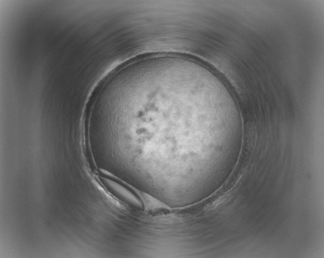 X0000068740982200605121539