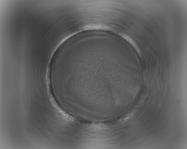 X0000068740983200605121539