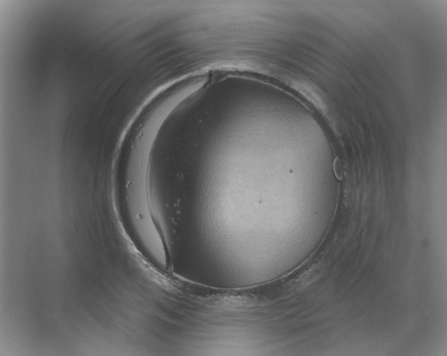 X0000068740984200605121539