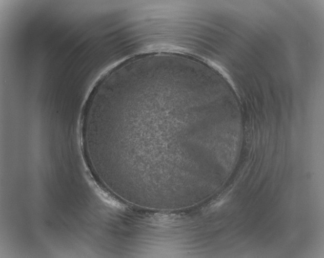 X0000068740987200605121539