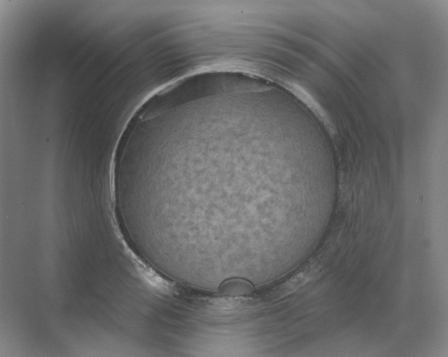 X0000068740988200605121539