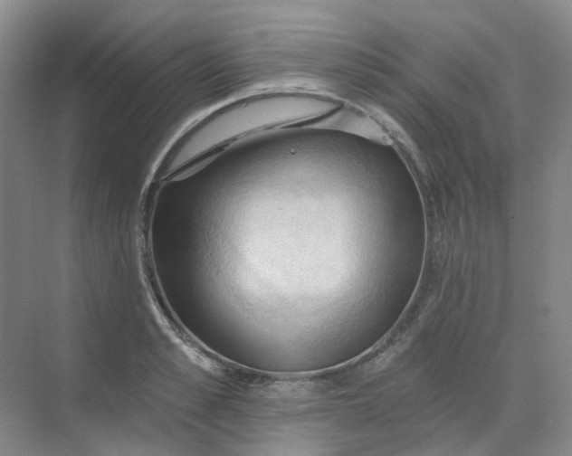 X0000068740989200605121539