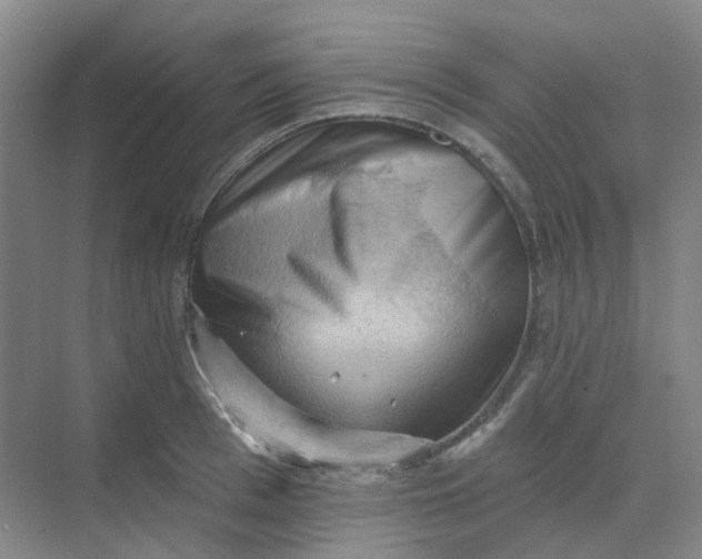 X0000068740993200605121539