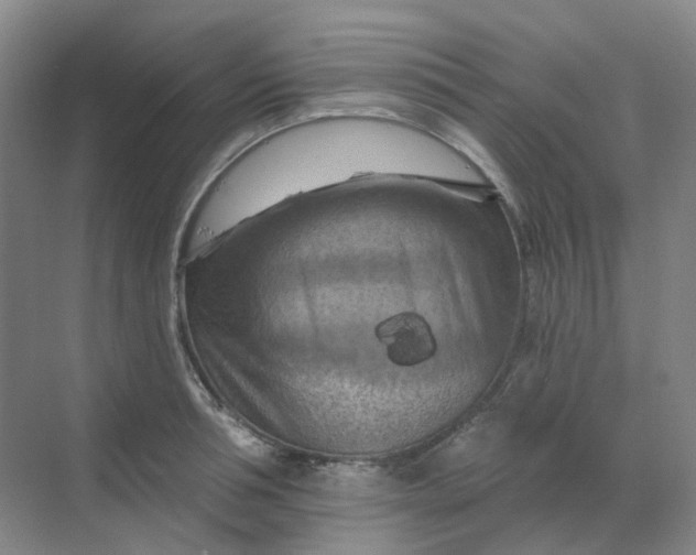 X0000068740994200605121539