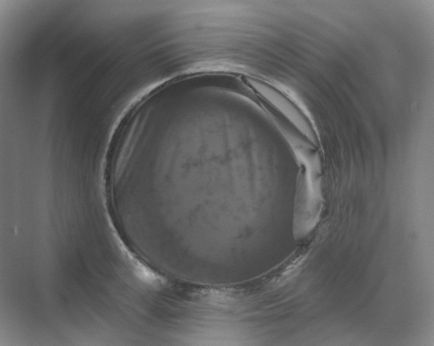 X0000068740995200605121539